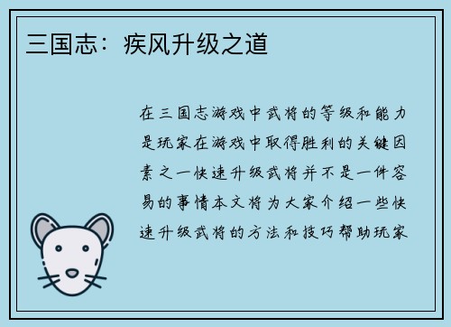 三国志：疾风升级之道