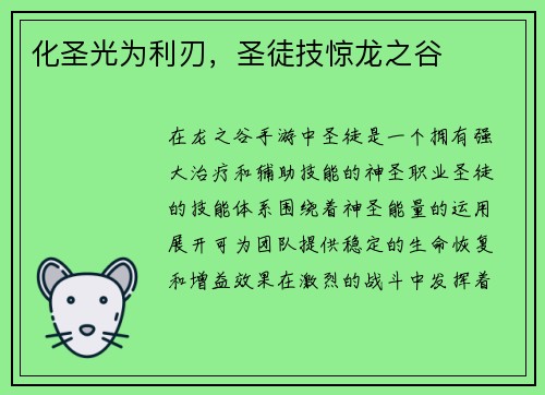 化圣光为利刃，圣徒技惊龙之谷